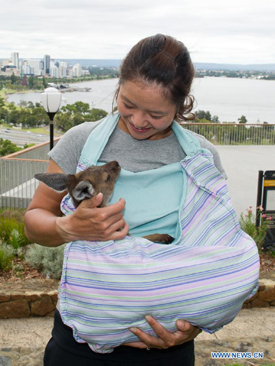 Li Na says 'cheese' with baby kangaroo in Australia