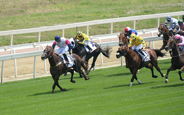 Brazilian jockey wins big in Chengdu Dubai International Cup