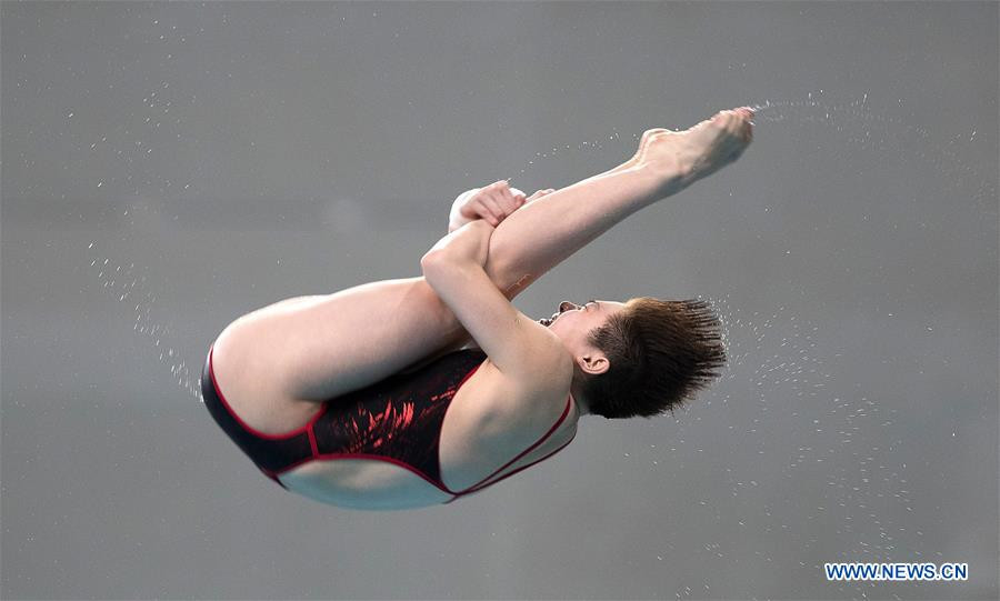 China claims three platform titles at FINA Diving World Series