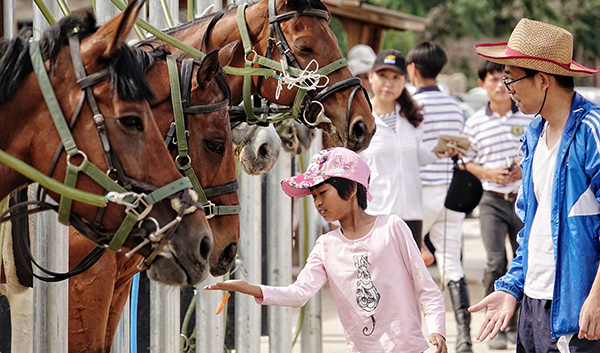 Horse riding graduates get off to a good start