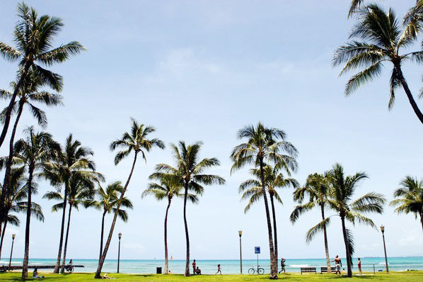 36 hours in Honolulu