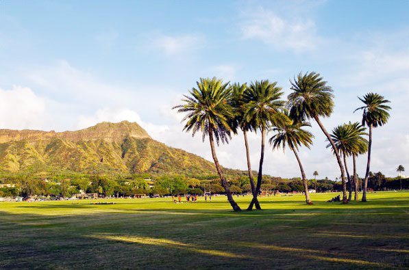 36 hours in Honolulu