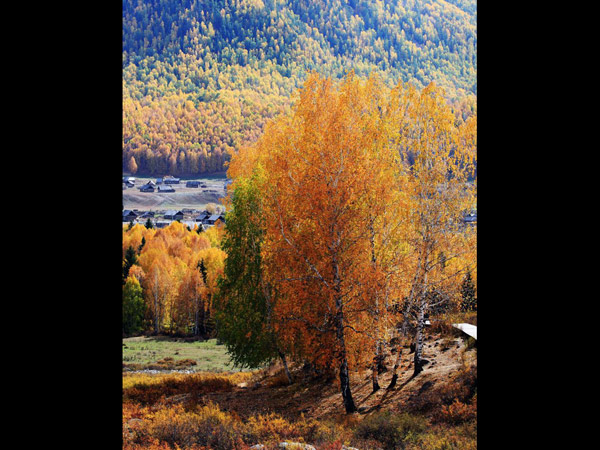 Amazing Hemu Village, Xinjiang