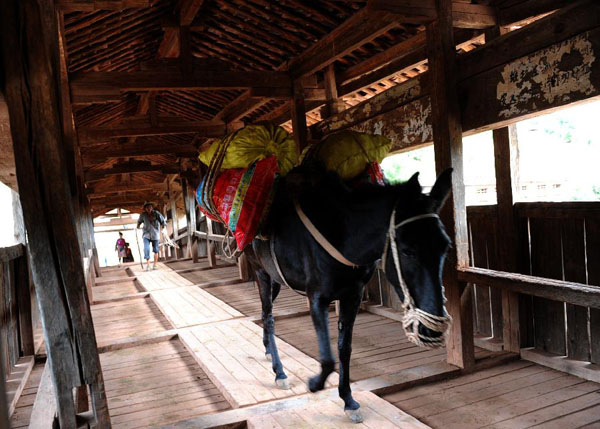 Shundang Caifeng Bridge with antique flavour