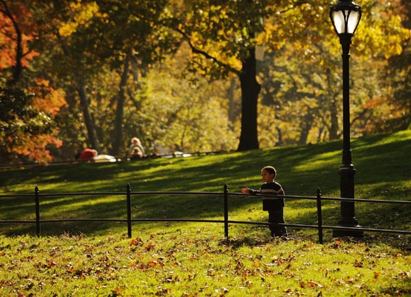 Deep autumn colors of Central Park