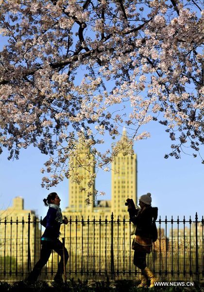 Northern hemisphere embraces flourishing spring flowers