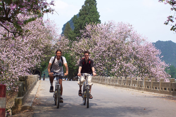 Country roads take me to Yangshuo