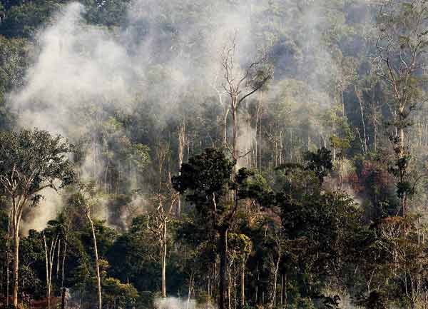 Vanishing landscapes on earth