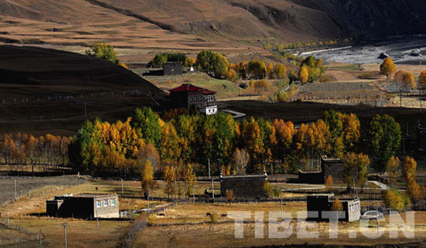 Autumn scenery along Sichuan-Tibet Highway