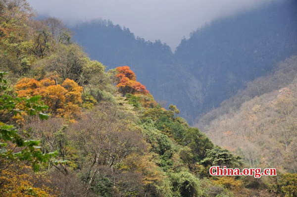 Trip to Dongla Mountain Grand Canyon