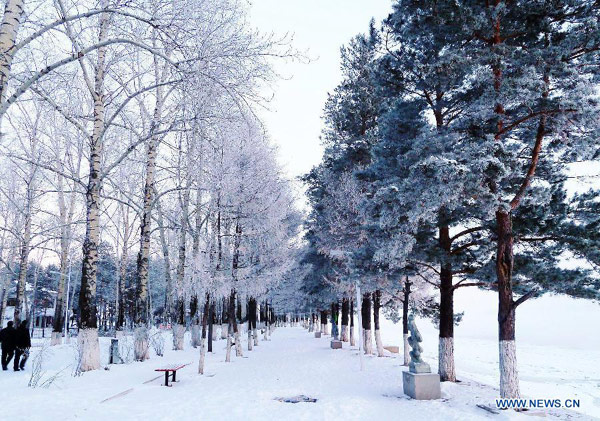 Snow scenery in NE China