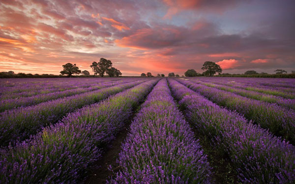 Spectacular photos of 6th 'Landscape Photographer of the Year'