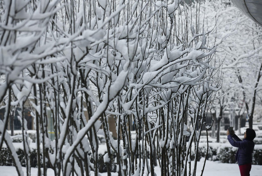 Spring snow blankets Beijing