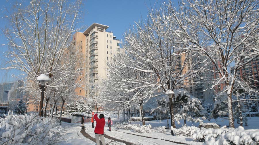 Spring snow blankets Beijing