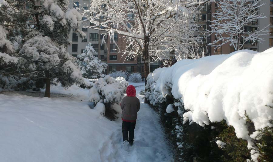 Spring snow blankets Beijing