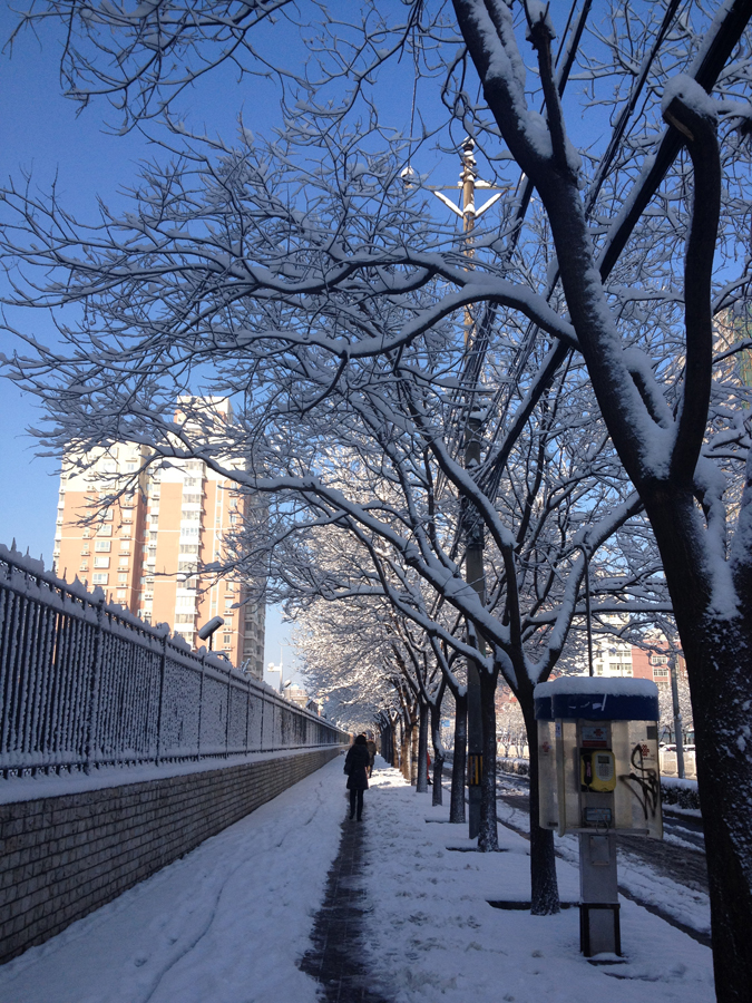 Spring snow blankets Beijing