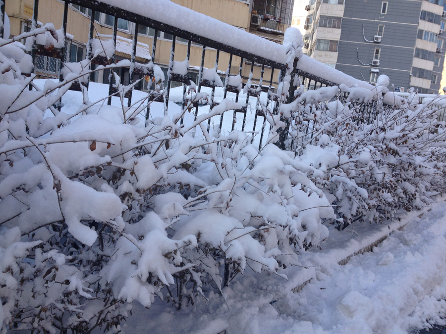 Spring snow blankets Beijing