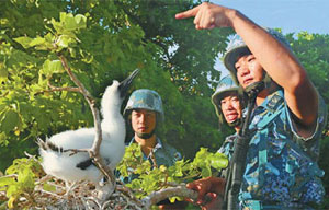 Sun Yat-sen's former residence to become center of tourism town