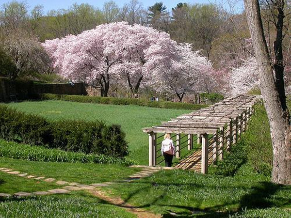 Top 10 gardens around world