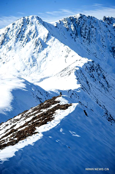 Scenery of Gongga Shan in SW China's Sichuan