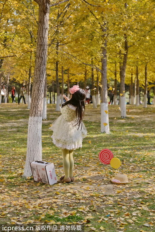 Top 10 places to enjoy autumn leaves in Beijing