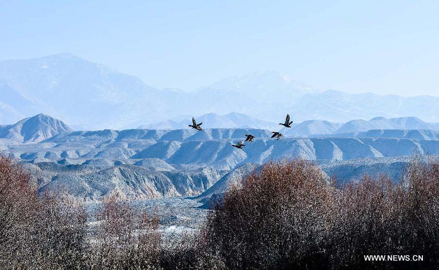 Beautiful winter scenery of Yellow River in NW China