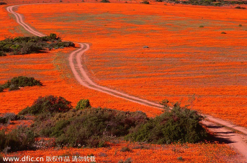 Top 10 seldom-seen views around the world