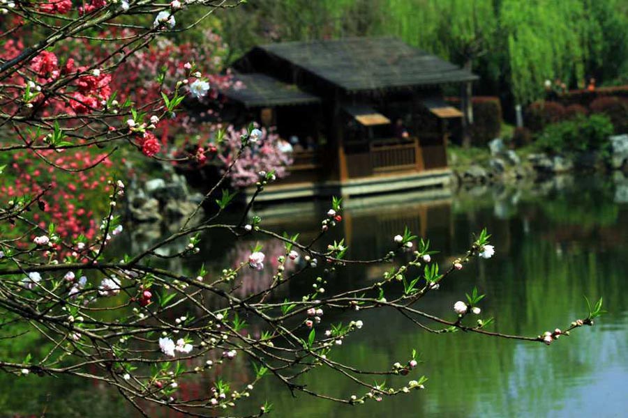 Travel tips for Qingming festival