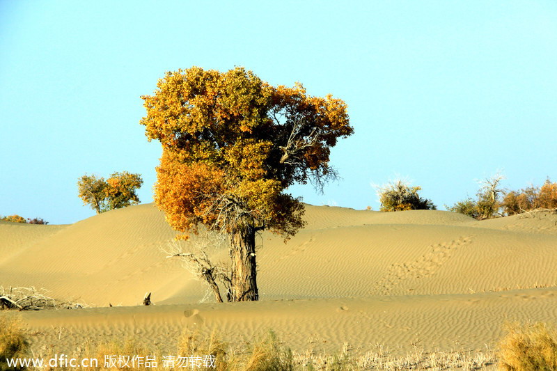 Top 10 routes for a road trip in China