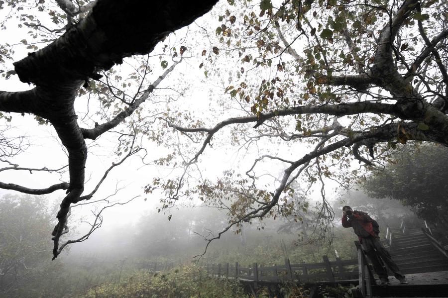 Beautiful scenery of Fenghuang Mountain