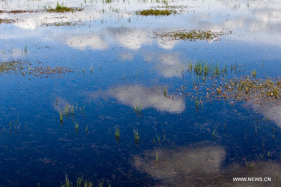 Beauty of Gahai Wetland in NW China's Gansu