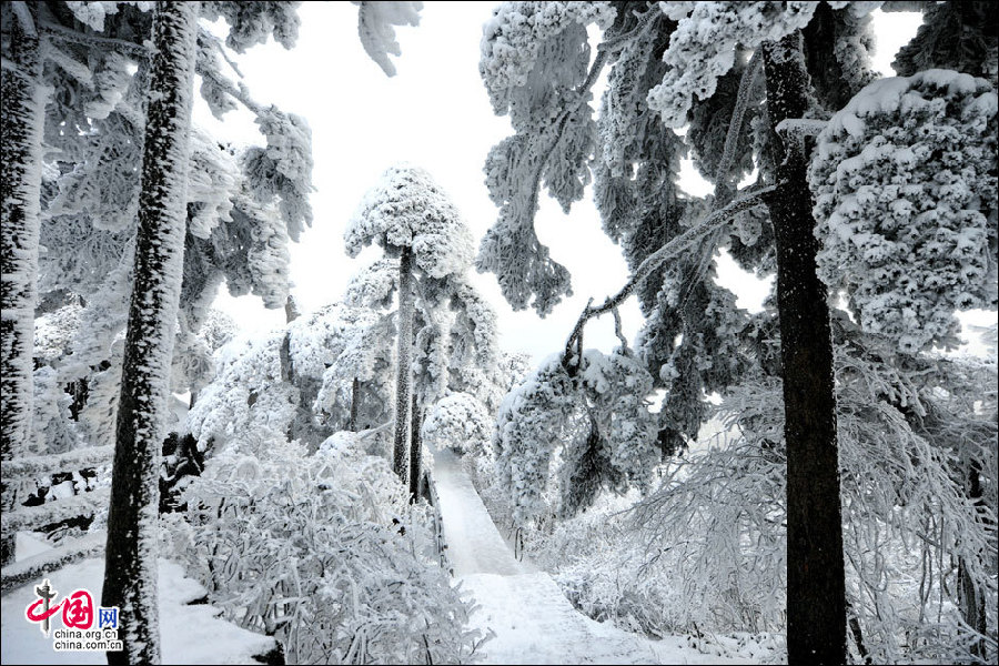 Mount Huangshan, a fairyland in winter