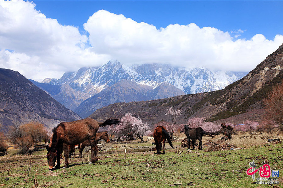 Yarlung Zangbo Grand Canyon in Tibet