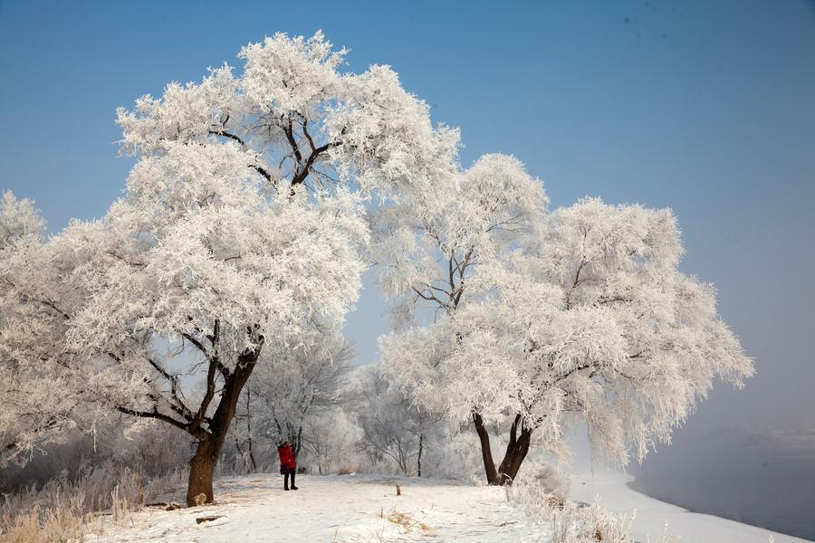 Rime scenery in Jilin