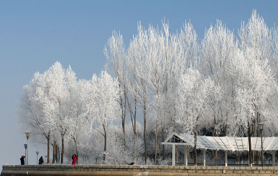 Rime scenery in Jilin