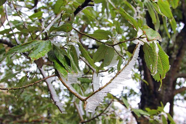 Spring turns thermometer back to winter in Hunan