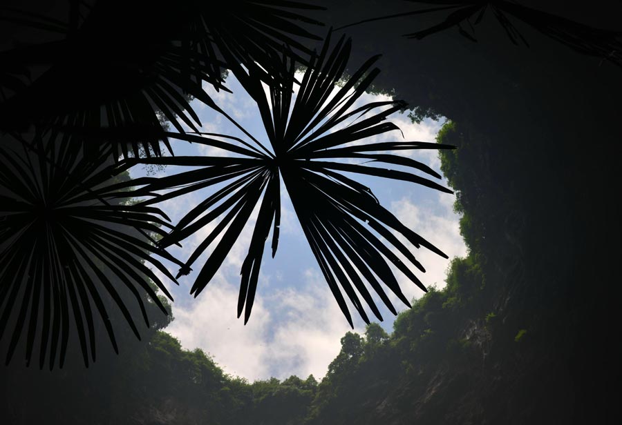 Sinkhole glimpse of magical nature