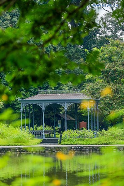 Singapore Botanic Gardens declared UNESCO World Heritage Site