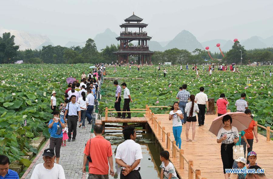 Lotus root industrial park attracts visitors in South China