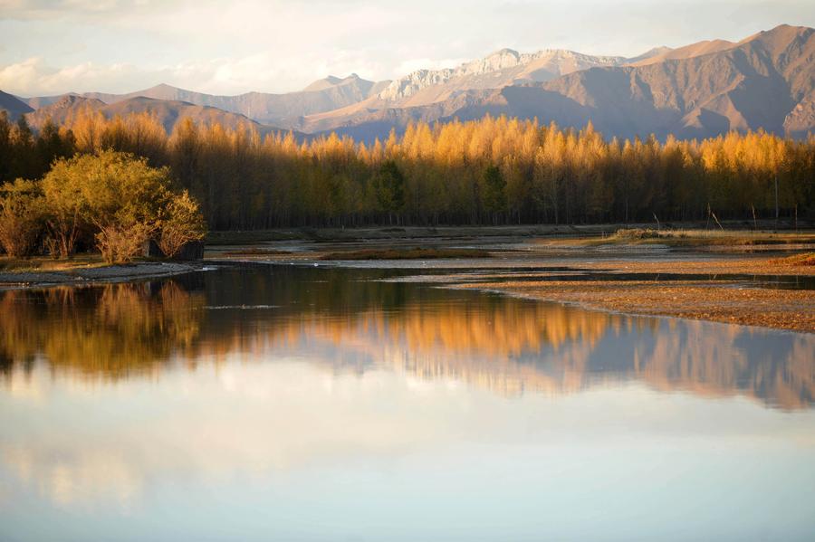 Autumn scenery in Dagze county of Tibet