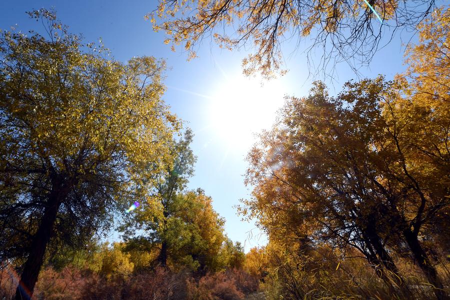 Autumn scenery of Badain Jaran Desert