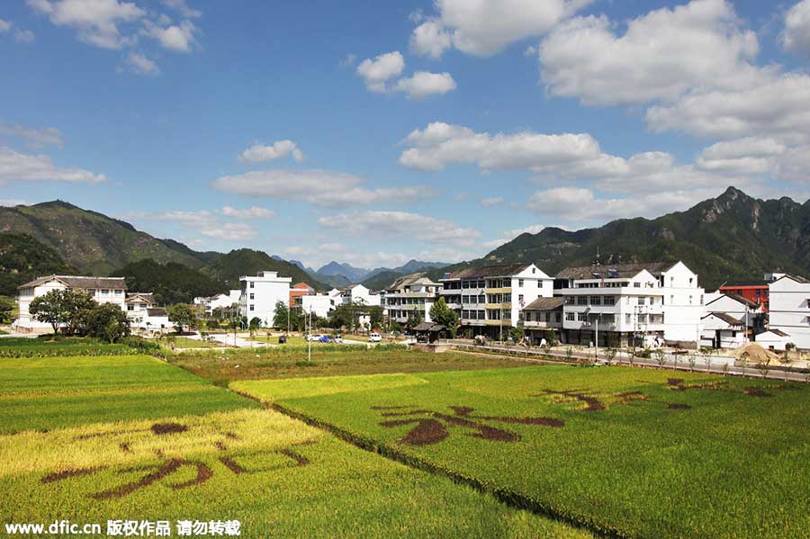 Amazing rice paddy art inspired from crops