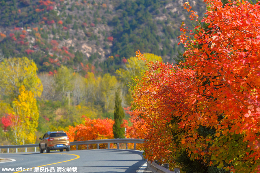 Late autumn views turn Beijing into scenic city