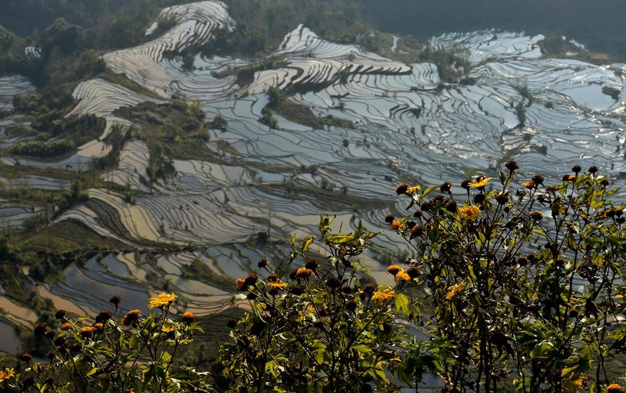 Hani terraces present unique winter scenery