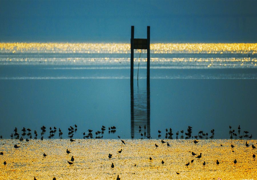 China's most beautiful wetlands