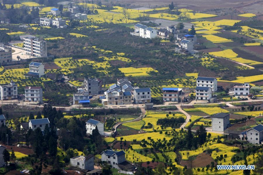 Spring scenery in C China