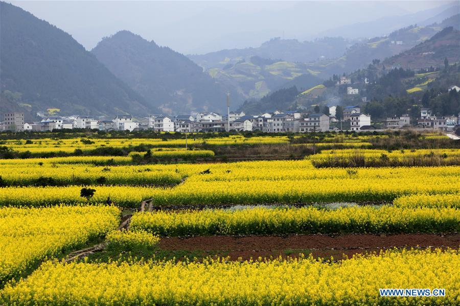 Spring scenery in C China