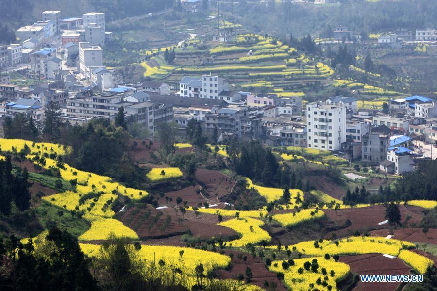 Spring scenery in C China