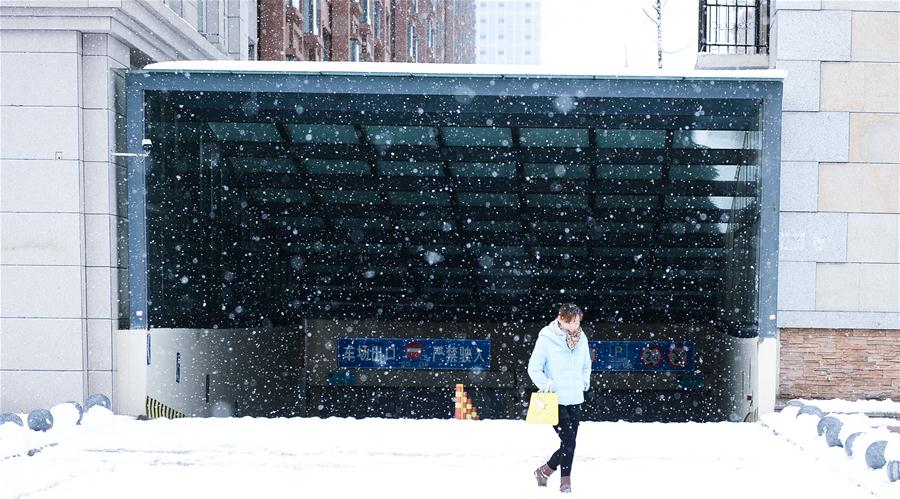 Snowfall hits most parts of Qinghai in NW China