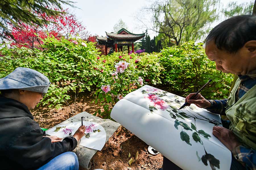 Peony Cultural Festival opens in Central China